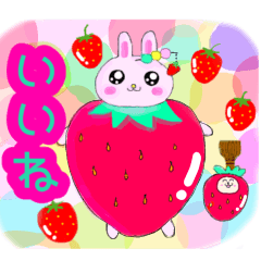 [LINEスタンプ] かわいいうさぎ♡挨拶♡おもしろ♡日常に