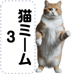 [LINEスタンプ] 猫ミーム詰め合わせセット3【面白い動物】