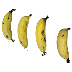 [LINEスタンプ] 食品シリーズ : バナナ #6