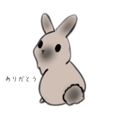 [LINEスタンプ] さくうさぎのシンプルあいさつ