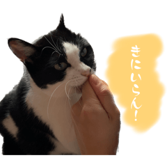 [LINEスタンプ] うちのだいじだいじ♡