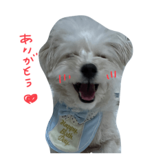 [LINEスタンプ] ミルくんだお2