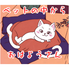 [LINEスタンプ] カワイイうちのネコ