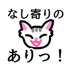 [LINEスタンプ] ねこねこのネコチャン