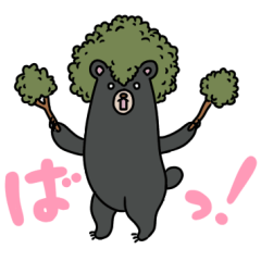 [LINEスタンプ] もりくまくん！