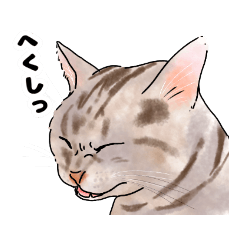 [LINEスタンプ] たまにネコ語の猫たち