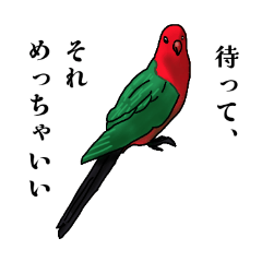 [LINEスタンプ] オーストラリア某山の鳥たち