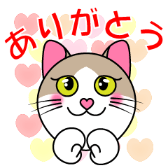 [LINEスタンプ] 茶シロ★キュートな猫にゃんのスタンプ1