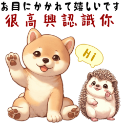 [LINEスタンプ] 柴犬とハリネズミ