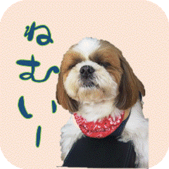 [LINEスタンプ] シーズー犬の日常会話 part2