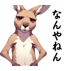 [LINEスタンプ] 毎日使えるカンガルー