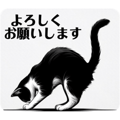 [LINEスタンプ] 挨拶する白黒猫