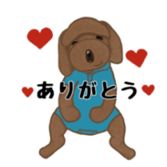 [LINEスタンプ] 元気な【わんだ】スタンプ