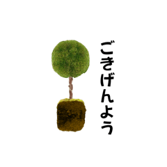 [LINEスタンプ] 苔、青空、海、苔玉スタンプ