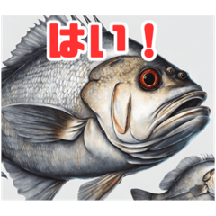 [LINEスタンプ] 表情豊かな魚たち