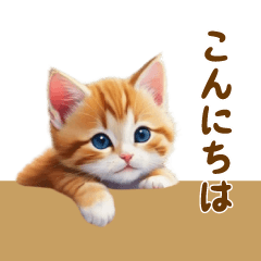 [LINEスタンプ] キュートなネコたちの気軽に使えるスタンプの画像（メイン）