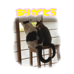 [LINEスタンプ] 斉藤さんちの宝物