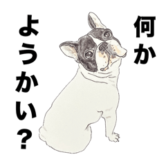 [LINEスタンプ] 何かようかい (Nanka Yokai)