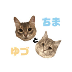 [LINEスタンプ] ちまとゆづ