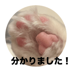 [LINEスタンプ] てしろとづん3