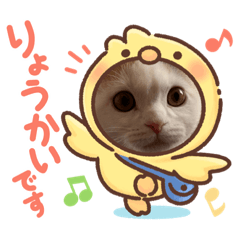 [LINEスタンプ] ROY RAW RUA☆