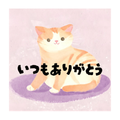 [LINEスタンプ] 毎日使える敬語の猫