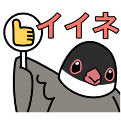 [LINEスタンプ] 桜文鳥のさくちゃん