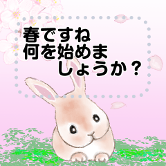 [LINEスタンプ] センスオブ スプリングタイム