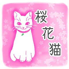 [LINEスタンプ] 桜花猫