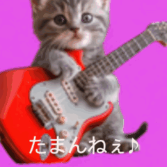 [LINEスタンプ] ⚫猫ミーム【踊る】【ダンス】【多い猫】の画像（メイン）