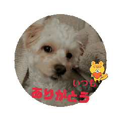 [LINEスタンプ] ふうが動く1の画像（メイン）