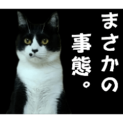 [LINEスタンプ] ガブリエルその28