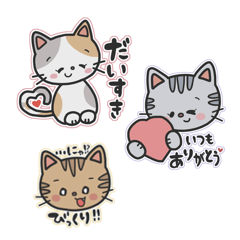 [LINEスタンプ] ほのぼのねこちゃん◎