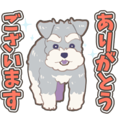 [LINEスタンプ] 日常で使えるMシュナウザースタンプ