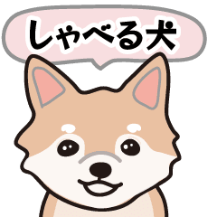 [LINEスタンプ] しゃべる犬。(チワワ)の画像（メイン）