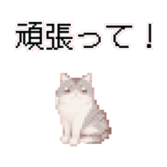 [LINEスタンプ] 猫のピクセルアート(ドット絵)のスタンプ4の画像（メイン）
