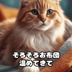 [LINEスタンプ] 可愛くて憎めない猫