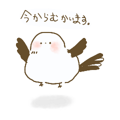 [LINEスタンプ] ゆるふわシマエナガさん