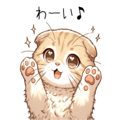 [LINEスタンプ] ほっこりスコティッシュ ネコ