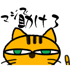 [LINEスタンプ] ぼやきネコ【とらた】