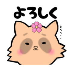 [LINEスタンプ] 推し活たぬき[満開さくら]／日常で使える