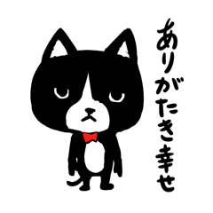 [LINEスタンプ] ツンデレ猫八 1