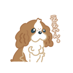 [LINEスタンプ] キャバリア【日常会話♪】