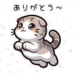 [LINEスタンプ] 可愛い猫【マンチカン】の挨拶スタンプ