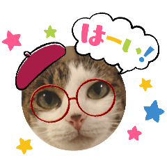 [LINEスタンプ] きらべるのスタンプ2
