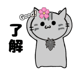 [LINEスタンプ] 推し活もふねこ[満開さくら]／グレー