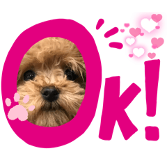 [LINEスタンプ] 愛犬の顔スタンプの画像（メイン）