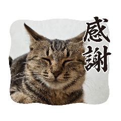[LINEスタンプ] びっきなあんこ と うりと とら