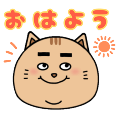 [LINEスタンプ] にゃん吉。[日常で使えるデカ文字スタンプ]