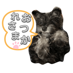 [LINEスタンプ] リュウ、ベル、ホッピー2の画像（メイン）